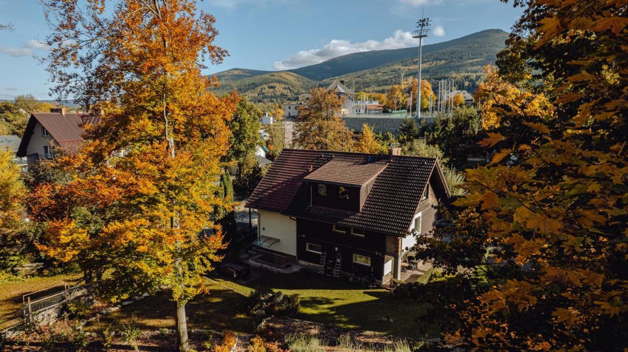 Zacisze Apartmán